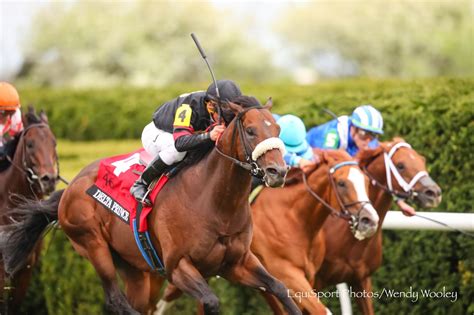 Delta Prince snares Maker's 46 Mile with last-to-first rally | BRISnet ...