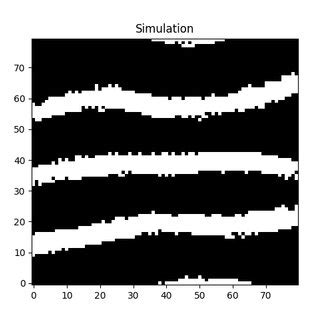 Image result for Python Simulation Examples