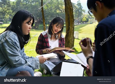 Student Team Project 的图像结果