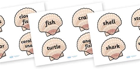 Under the Sea Word Cards (on shells) (teacher made) - Twinkl