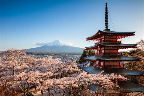 The Best Time to Visit Japan
