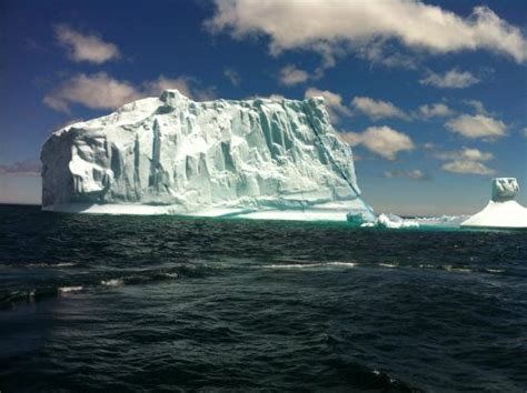 Iceberg Quest Ocean Tours (St. John's) - All You Need to Know BEFORE You Go