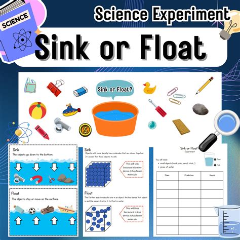 Sink or Float Science Experiment, Fun Activity With Worksheets - Etsy ...