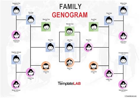 Genogram Template For Word - prntbl.concejomunicipaldechinu.gov.co