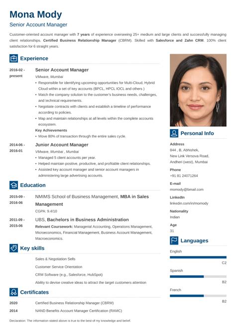18+ Professional CV Formats: Curriculum Vitae to Download