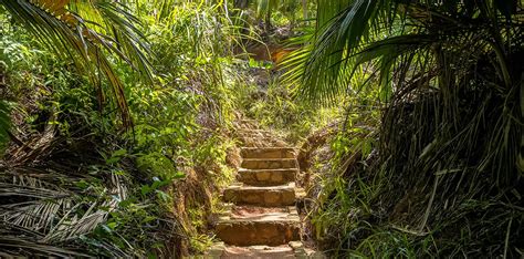 5 Nights 6 Days Seychelles Luxury Honeymoon Package - Regencyholidays