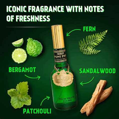 Buy BRUT ORIGINAL EAU DE TOILETTE (EDT) PERFUME FOR MEN LONG-LASTING ...