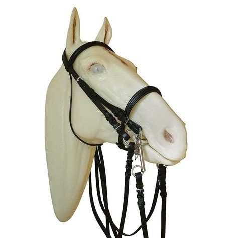 Enfermedades en los cascos de los caballos - Hípica Canalón