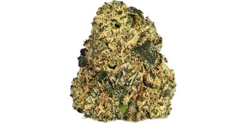 Circus Animals Strain | Exotic Cannabis Strains Online