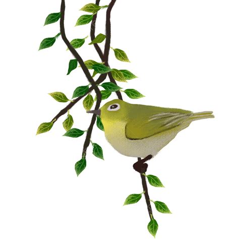 Bird On Branch Clipart Transparent Background, Birds On Branches, Bird ...