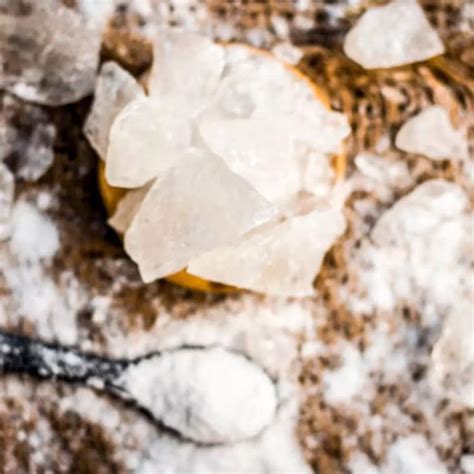 घर में चूहों ने मचा रखा है आतंक, तो बस अपनाएं ये 5 घरेलू नुस्खे, बिना ...