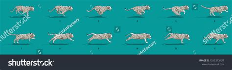 Image result for Tiger Run Cycle Animation