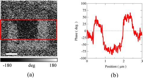 Multiferroic Compounds with Double-Perovskite Structures