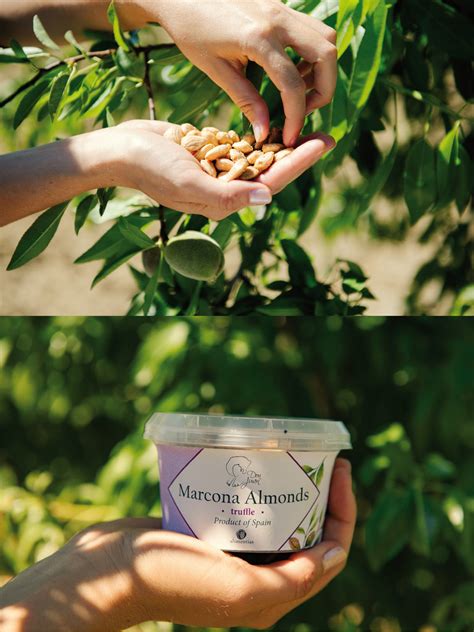 MARCONA ALMONDS – Alimentias