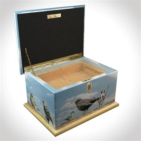 Memory Box 的图像结果