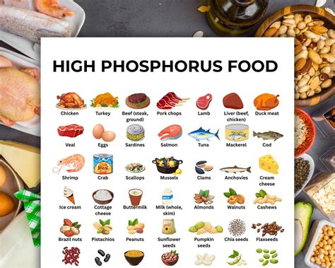 What Foods Contain Phosphorus