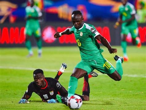 非洲杯：塞内加尔VS埃及，英足总杯：利物浦VS加的夫城|塞内加尔|非洲杯|利物浦_新浪新闻