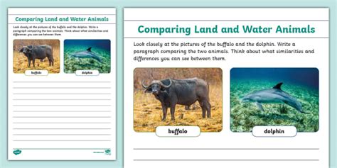 Grade 3 LS T4 Comparing Land and Water Animals Worksheet (CAPS)