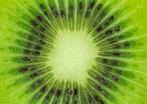 4 Steps of Getting a Degree in Nutrition Science - Nutrition Science Degree