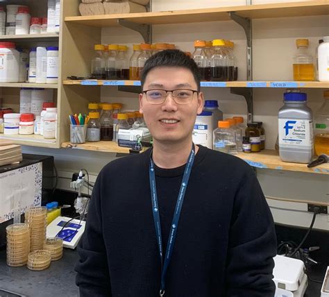 Bokun Xie - Pellman Lab - Cell Division and Genome Instability