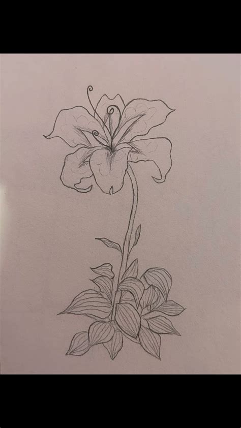 Tangled Rapunzel Flower Drawing