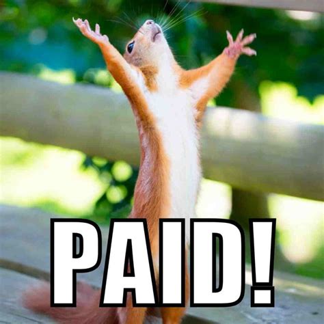25 Hilarious Payroll Memes For Laughs Until Payday