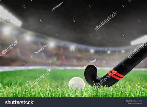 Land Hockey 的图像结果