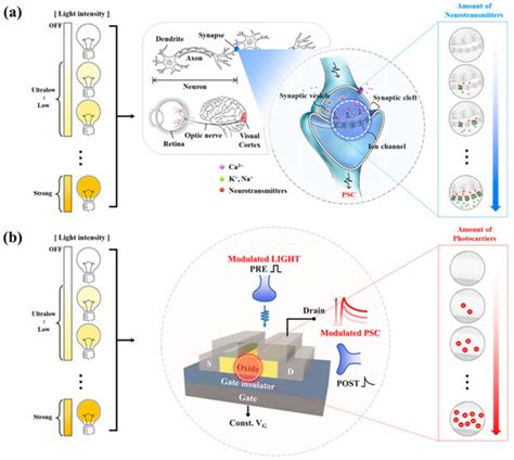 Design of Functionally Stacked Channels of Oxide Thin-Film Transistors ...