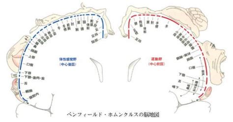 Image result for General Reference Maps Example
