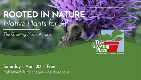 Rooted in Nature: Native Plants for All, The Growing Place, Aurora, 20 ...