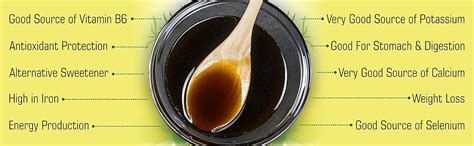 Dhampure Speciality Treacle Cane Syrup, 1470Ml (2X 735Ml) | Unsulphured ...