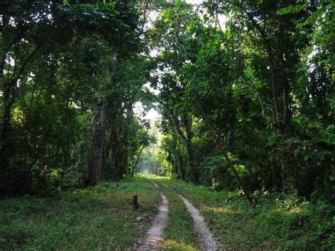 Top 3 national parks in Chhattisgarh - Hello Travel Buzz