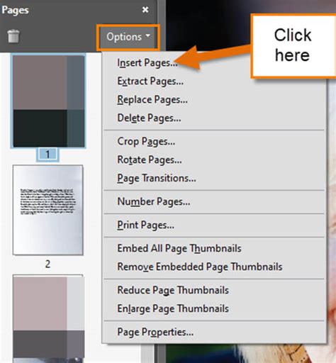 Image result for How to Place File into Column Using PDF