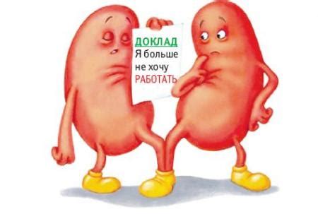 Отказ почек: симптомы и диагностика, правильное лечение