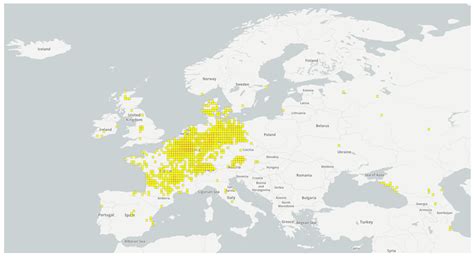The Raccoon (Procyon lotor) as a Neozoon in Europe