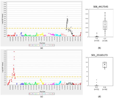 Genotyping by Sequencing for SNP-Based Linkage Analysis and the ...