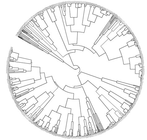 Image result for Collapsing Find Algorithm
