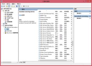 Task Manager Dcom BSOD 的图像结果
