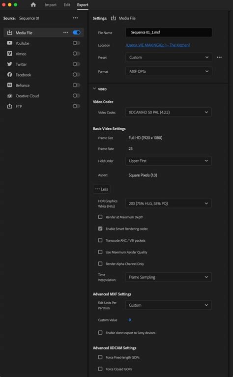 MXF File Format 的图像结果
