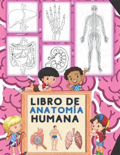 Buy Libro De Anatomía Humana: 100 Actividades Para Colorear | Anatomía ...