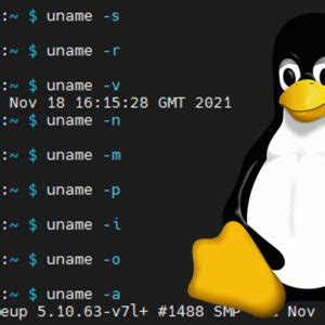 How to Run the Job by Using Linux Command 的图像结果