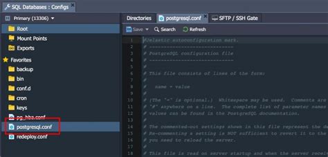Image result for PostgreSQL Replication 13