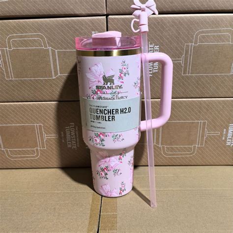 Bottles & Lunch Boxes - Big Daddy Store