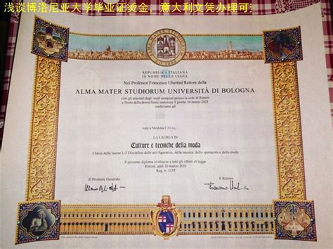 浅谈博洛尼亚大学毕业证烫金，意大利文凭办理可查 - 蓝玫留学机构