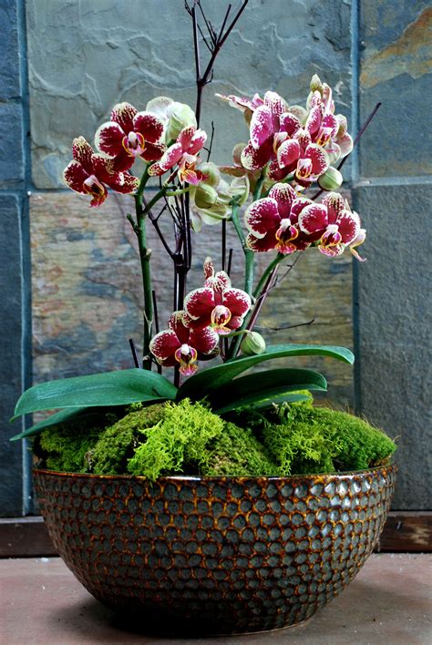 Tuscan Romance: Pink and White Orchid Flower Arrangement for Container ...