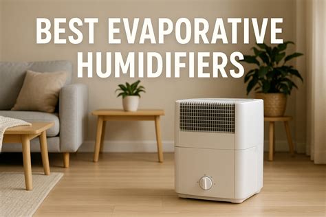 The 10 Best Humidifiers for Bedroom of 2026
