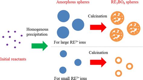 Image result for Empty Body Shell