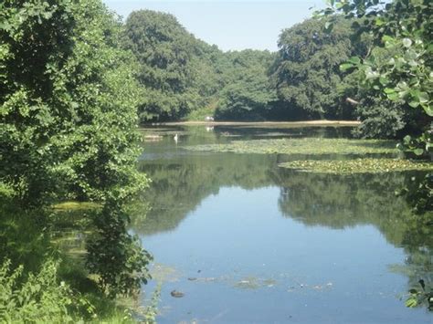 THE 10 BEST Things to Do Near Wimbledon and Putney Commons