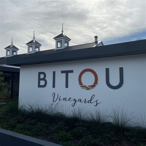 BITOU VINEYARDS (2025) All You Need to Know BEFORE You Go (with Photos ...
