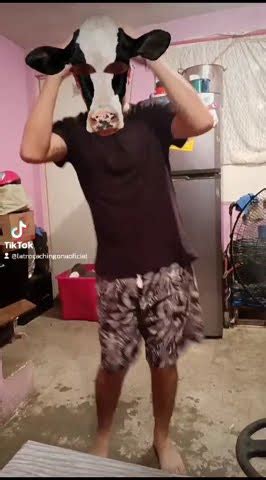 Image result for Alien Bass Cover